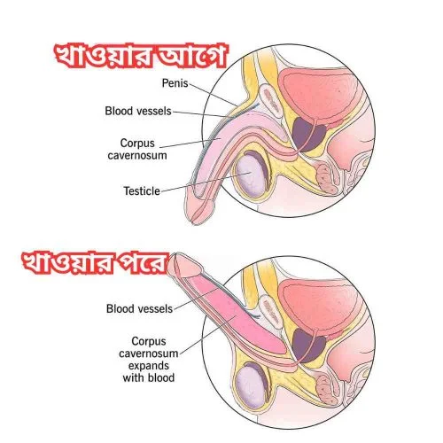 drugsbazar_image (3)